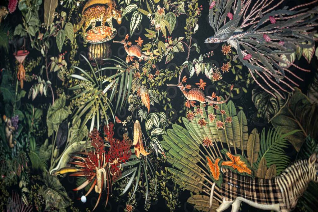 brandltalos-office-00005